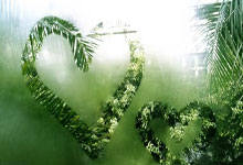 德国足球传奇教头领导国家队重返世界杯赛场